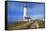 Lighthouse, Big Sur Coast, California-robert cicchetti-Framed Stretched Canvas