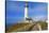 Lighthouse, Big Sur Coast, California-robert cicchetti-Stretched Canvas