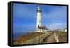 Lighthouse, Big Sur Coast, California-robert cicchetti-Framed Stretched Canvas