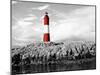 Lighthouse Border-Anna Coppel-Mounted Photographic Print