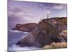 Lighthouse Cabo Mayor Near Santander, Kantabrien, Spain-Rainer Mirau-Mounted Photographic Print