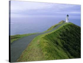 Lighthouse, Cape Reinga, Northland, North Island, New Zealand, Pacific-Jeremy Bright-Stretched Canvas