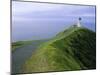 Lighthouse, Cape Reinga, Northland, North Island, New Zealand, Pacific-Jeremy Bright-Mounted Photographic Print