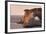 Lighthouse Far De Sa Creu at Sunset-Markus Lange-Framed Photographic Print