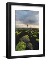 Lighthouse Faro De Fuencaliente, Island La Palma, Canary Islands, Spain-Rainer Mirau-Framed Photographic Print