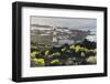 Lighthouse Faro De Fuencaliente, Salinas De Fuencaliente, Island La Palma, Canary Islands, Spain-Rainer Mirau-Framed Photographic Print