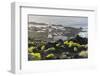 Lighthouse Faro De Fuencaliente, Salinas De Fuencaliente, Island La Palma, Canary Islands, Spain-Rainer Mirau-Framed Photographic Print