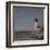 Lighthouse Gaze-Bill Philip-Framed Giclee Print