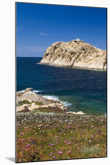 Lighthouse, Ile De La Pietra Islant, Ile Rousse, Corsica, France-Walter Bibikow-Mounted Photographic Print