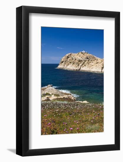 Lighthouse, Ile De La Pietra Islant, Ile Rousse, Corsica, France-Walter Bibikow-Framed Photographic Print