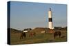 Lighthouse in Kampen, Sylt, Schleswig Holstein, Germany-null-Stretched Canvas