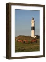 Lighthouse in Kampen, Sylt, Schleswig Holstein, Germany-null-Framed Art Print