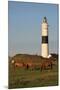 Lighthouse in Kampen, Sylt, Schleswig Holstein, Germany-null-Mounted Art Print