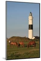 Lighthouse in Kampen, Sylt, Schleswig Holstein, Germany-null-Mounted Art Print