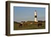 Lighthouse in Kampen, Sylt, Schleswig Holstein, Germany-null-Framed Art Print