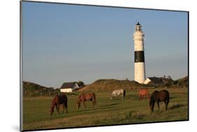 Lighthouse in Kampen, Sylt, Schleswig Holstein, Germany-null-Mounted Art Print