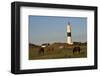 Lighthouse in Kampen, Sylt, Schleswig Holstein, Germany-null-Framed Art Print