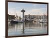 Lighthouse in Marina Vallarta, Puerto Vallarta, Mexico-Michael DeFreitas-Framed Photographic Print