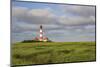 Lighthouse in Salt Meadows-kunertuscom-Mounted Photographic Print