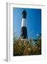 Lighthouse in the Marsh, Fire Island, New York-George Oze-Framed Photographic Print