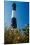 Lighthouse in the Marsh, Fire Island, New York-George Oze-Mounted Photographic Print