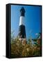 Lighthouse in the Marsh, Fire Island, New York-George Oze-Framed Stretched Canvas