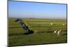 Lighthouse in the Wadden Sea National Park, Westerhever, Schleswig-Holstein, Germany, Europe-Hans-Peter Merten-Mounted Photographic Print