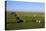 Lighthouse in the Wadden Sea National Park, Westerhever, Schleswig-Holstein, Germany, Europe-Hans-Peter Merten-Stretched Canvas