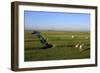 Lighthouse in the Wadden Sea National Park, Westerhever, Schleswig-Holstein, Germany, Europe-Hans-Peter Merten-Framed Photographic Print