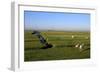 Lighthouse in the Wadden Sea National Park, Westerhever, Schleswig-Holstein, Germany, Europe-Hans-Peter Merten-Framed Photographic Print