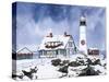 Lighthouse in Winter-William Vanderdasson-Stretched Canvas