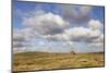 Lighthouse List Ost and Frisian House-Markus Lange-Mounted Photographic Print