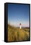 Lighthouse List West, Sylt Island, Northern Frisia, Schleswig-Holstein, Germany-Sabine Lubenow-Framed Stretched Canvas