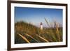 Lighthouse List West, Sylt Island, Northern Frisia, Schleswig-Holstein, Germany-Sabine Lubenow-Framed Photographic Print