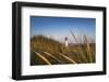 Lighthouse List West, Sylt Island, Northern Frisia, Schleswig-Holstein, Germany-Sabine Lubenow-Framed Photographic Print