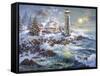 Lighthouse Merriment-Nicky Boehme-Framed Stretched Canvas