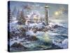 Lighthouse Merriment-Nicky Boehme-Stretched Canvas