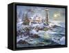 Lighthouse Merriment-Nicky Boehme-Framed Stretched Canvas