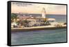 Lighthouse, Miami Beach, Florida-null-Framed Stretched Canvas