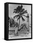 Lighthouse Museum in Key West-null-Framed Stretched Canvas