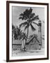 Lighthouse Museum in Key West-null-Framed Premium Photographic Print