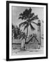 Lighthouse Museum in Key West-null-Framed Premium Photographic Print