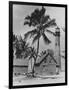 Lighthouse Museum in Key West-null-Framed Photographic Print