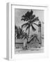 Lighthouse Museum in Key West-null-Framed Photographic Print