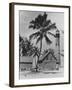 Lighthouse Museum in Key West-null-Framed Photographic Print