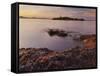 Lighthouse of Alcanada, Beach, Sea Grass, Dusk, Majorca, Spain-Rainer Mirau-Framed Stretched Canvas