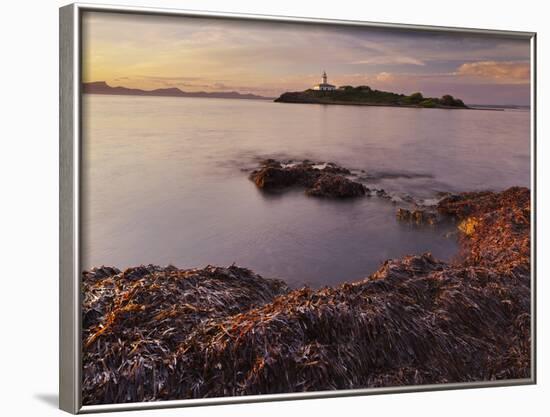 Lighthouse of Alcanada, Beach, Sea Grass, Dusk, Majorca, Spain-Rainer Mirau-Framed Photographic Print