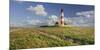 Lighthouse of Westerhever (Municipality), Schleswig-Holstein, Germany-Rainer Mirau-Mounted Photographic Print