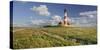 Lighthouse of Westerhever (Municipality), Schleswig-Holstein, Germany-Rainer Mirau-Stretched Canvas