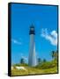 Lighthouse on the coast, Bill Baggs Cape Florida State Park, Key Biscayne, Miami-Dade County, Fl...-null-Framed Stretched Canvas